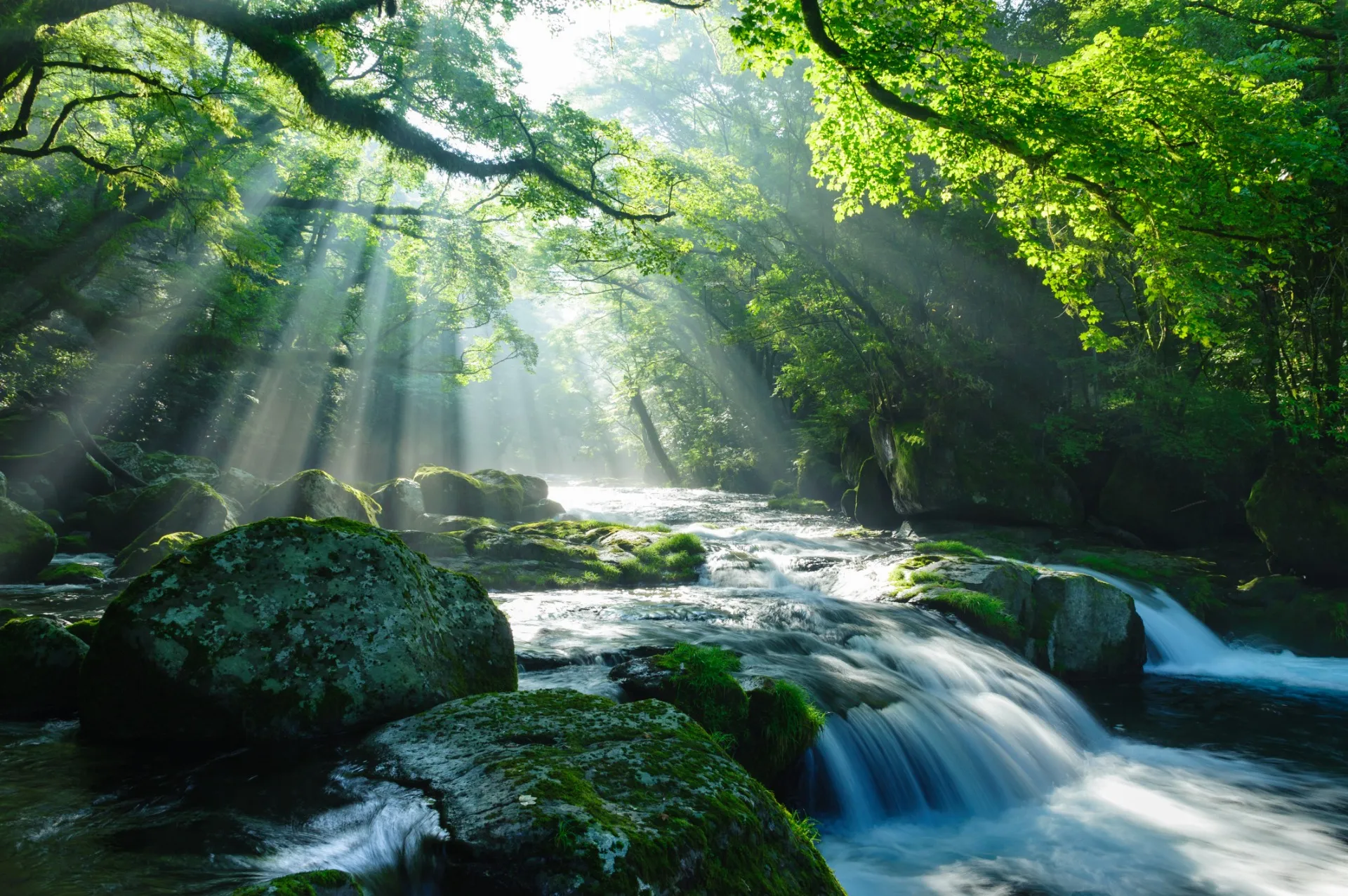 五十鈴総合法律事務所