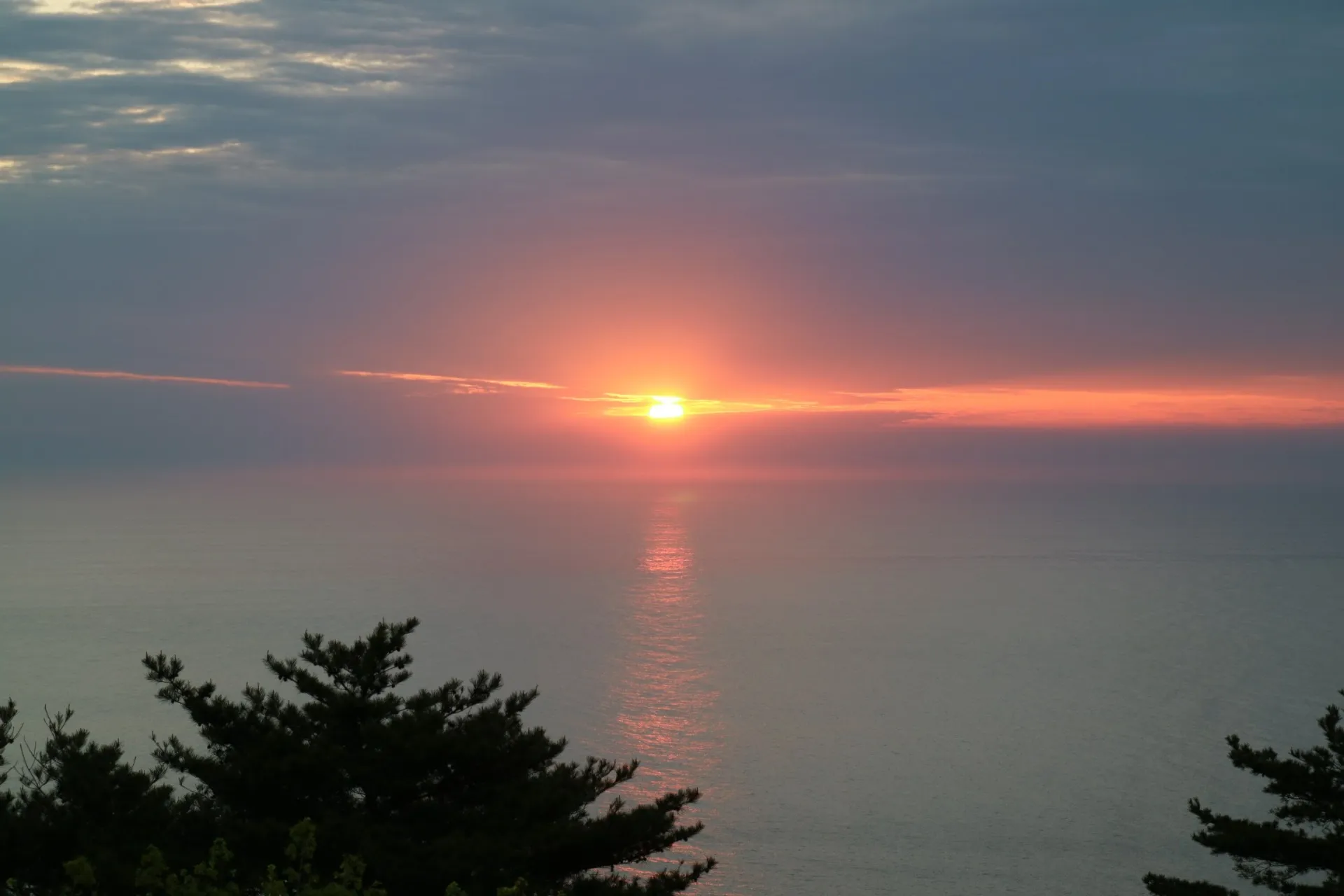 【新年のご挨拶】越谷の弁護士|五十鈴総合法律事務所