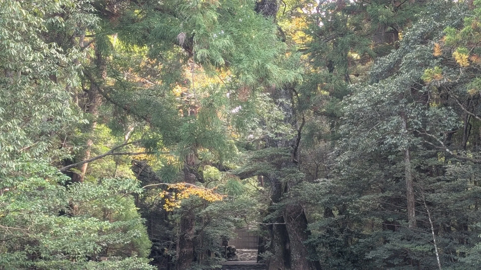 【相続財産の調査について】越谷の弁護士|五十鈴総合法律事務所